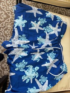 Kids Blue Turtle & Starfish Swim Shorts
